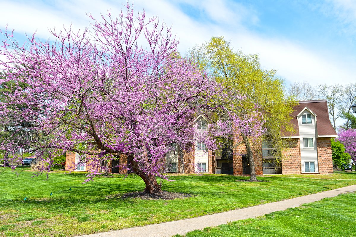 Best Place To Hook Up Hazelwood Mo